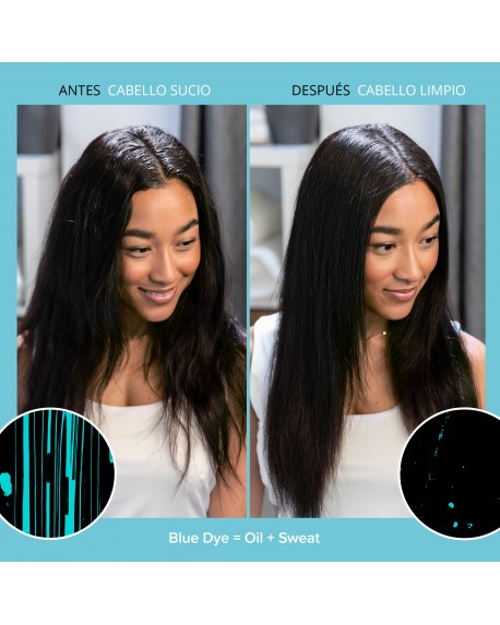 PERFECT HAIR DAY DRY SHAMPOO